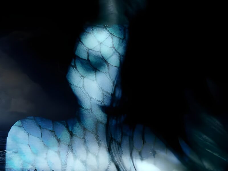 La Vieja Sirena ya Tiene Rostro