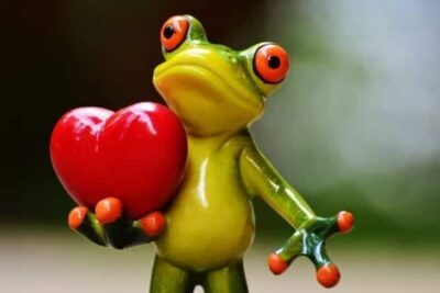 Superar la Separación