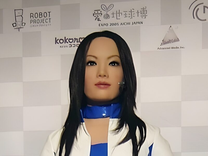 Fembots, nuestras nuevas novias