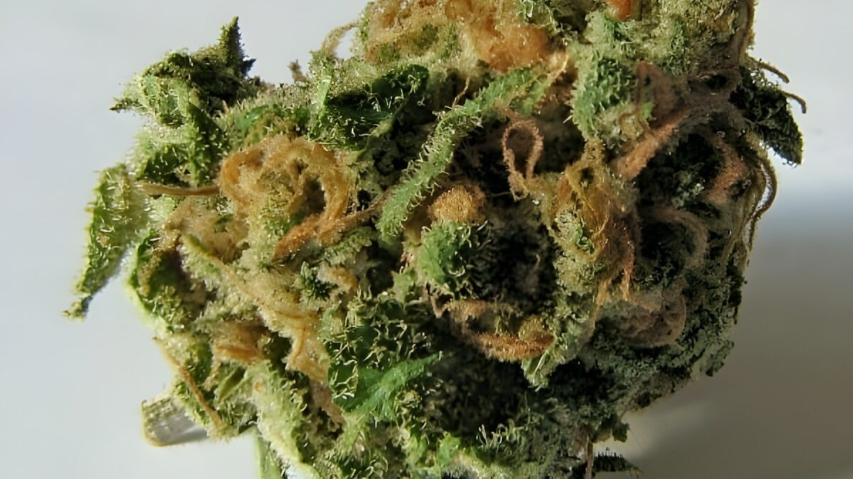 Marihuana y matrimonio