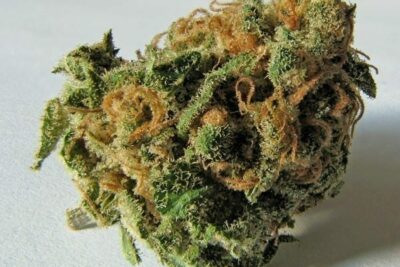 Marihuana y matrimonio