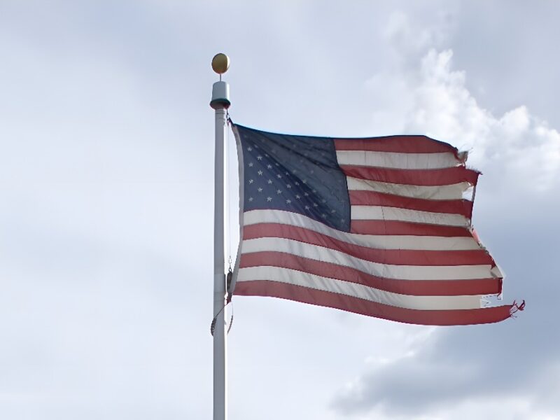 El Voto en Estados Unidos. Curiosidades
