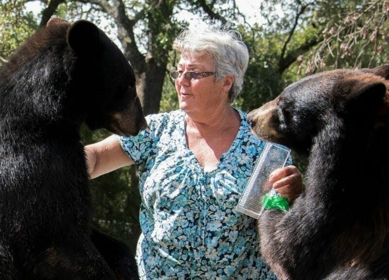 Mascotas y criaturas feroces… peligrosas