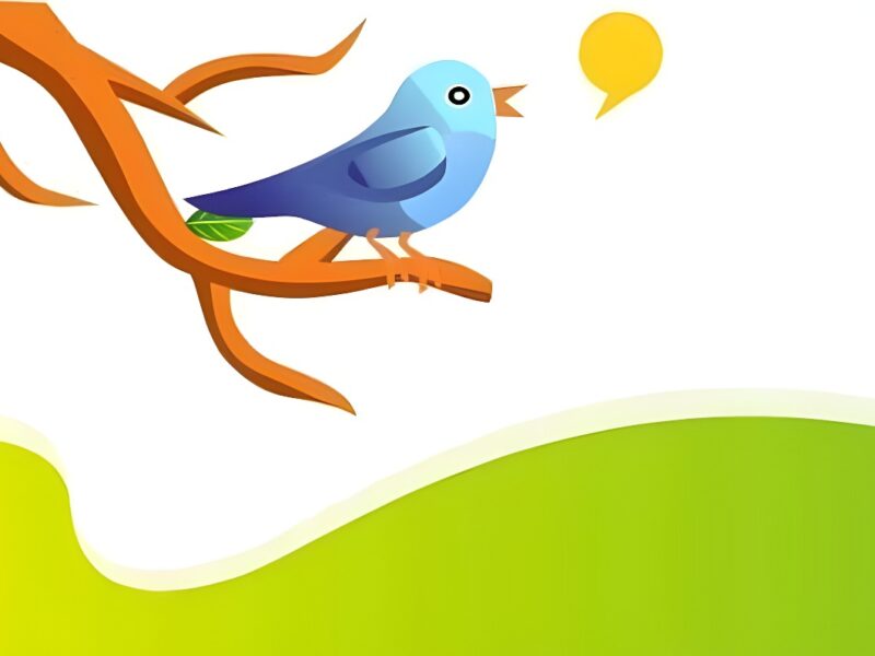 Los concursos y sorteos en Twitter pueden ser una estrategia de promoción positiva para los negocios
