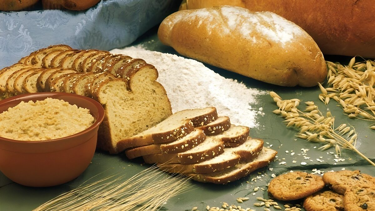La domesticación de los cereales, origen de la agricultura, fue a cargo de los sirios del Neolítico