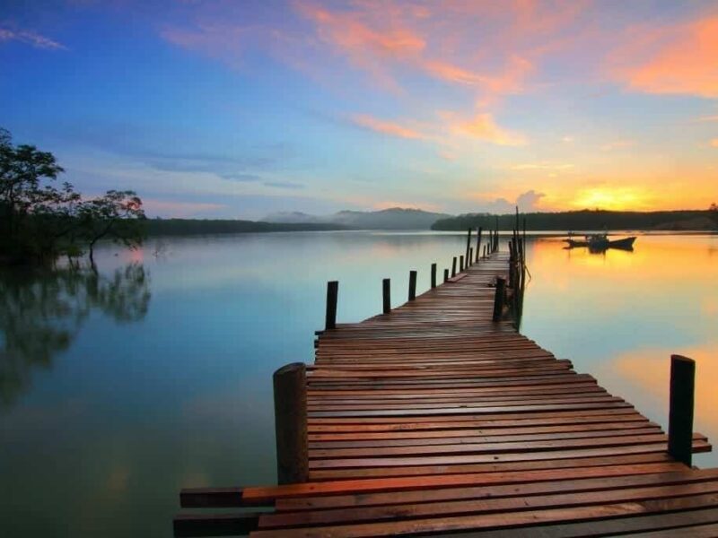 La ecología llega a las carreteras francesas