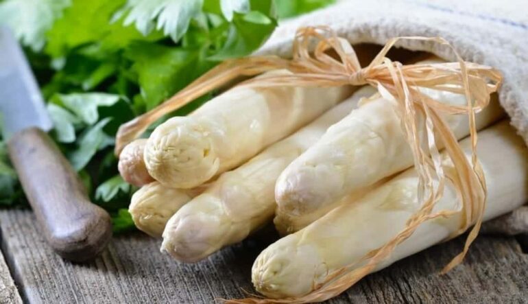 Las 10 claves de la cocina navarra