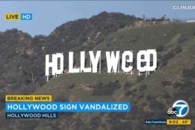 Hollyweed celebra la legalización de la marihuana