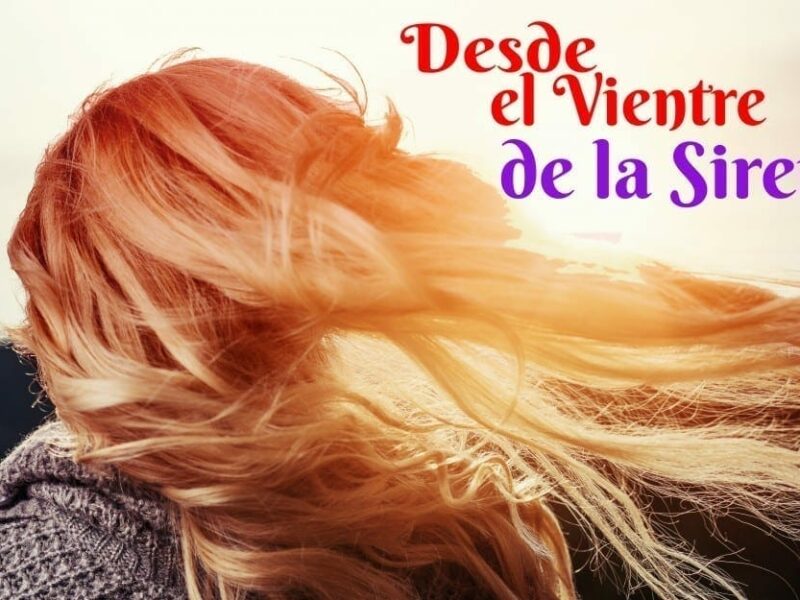 Novela. Desde el Vientre de la Sirena. Náufagos