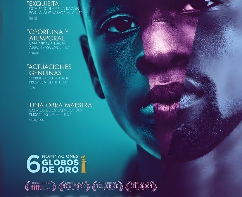 Oscars 2017: chapuza y Moonlight se lleva el Oscar a Mejor Película