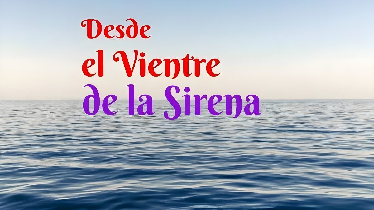 Nueva Entrega