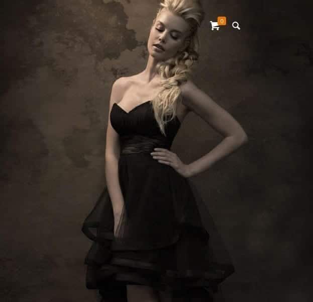 Nueva tienda online de productos Icon