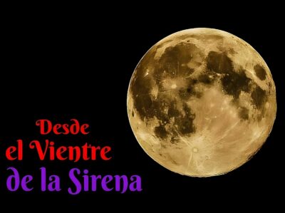 Desde el Vientre de la Sirena. Martin Cid