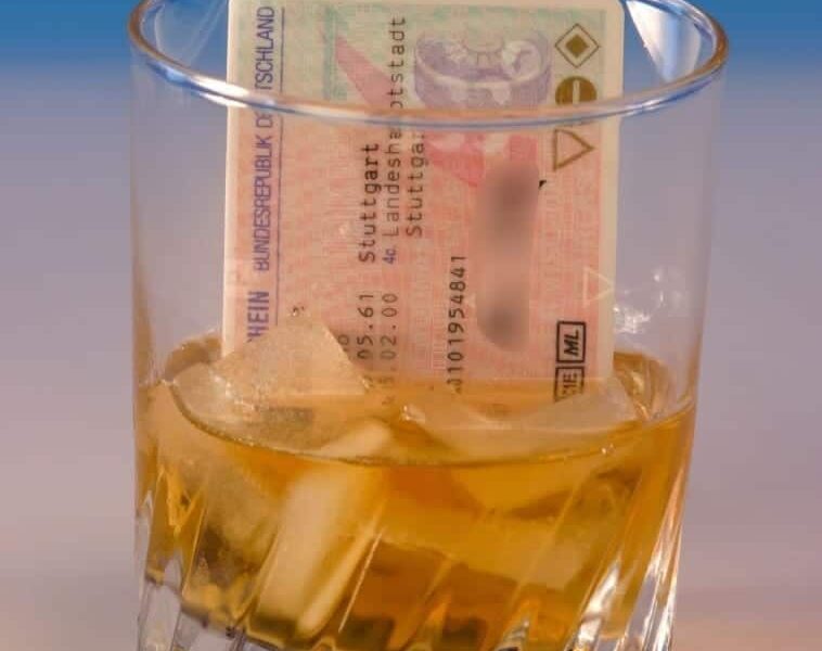 ¿Cómo disfrutar de las salidas de forma segura?