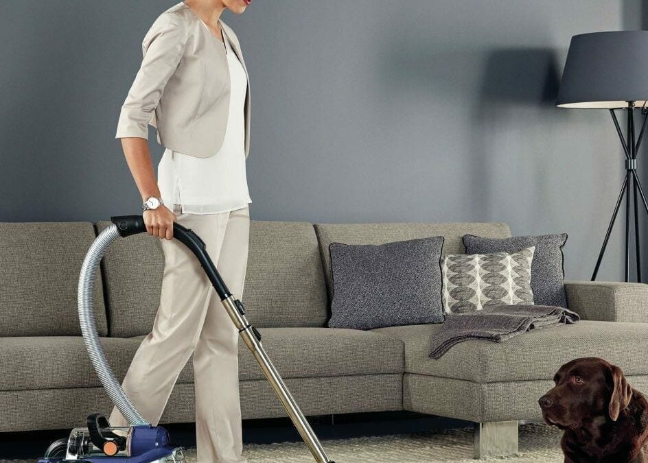 Cuidar la casa y a las mascotas al mismo tiempo