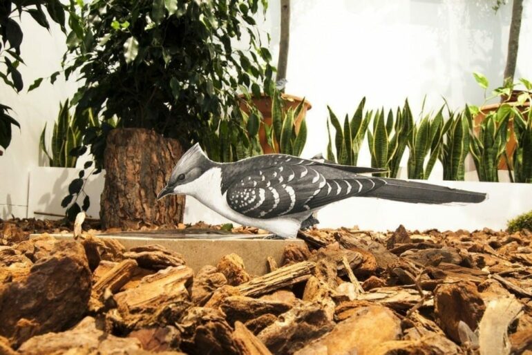 Diseños para impulsar la biodiversidad