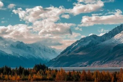 Las posibilidades que ofrece vivir rodeados de naturaleza