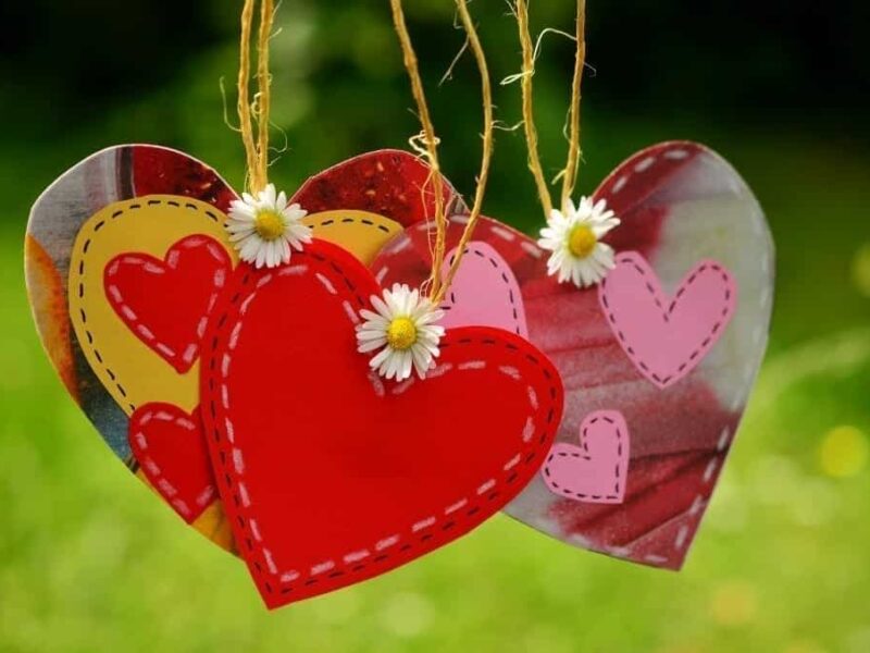 Gente poco común: se quería casar con su portátil