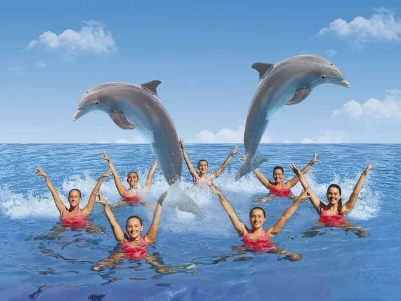 Mundomar estrena su nuevo espectáculo de natación sincronizada con delfines