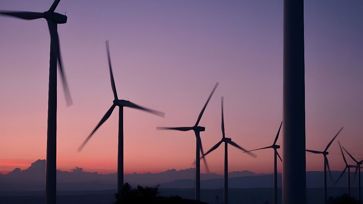 Las energías renovables supondrán un 85% del consumo energético en 2050