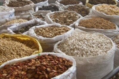 Euroinnova cede un espacio de su oferta formativa a la medicina tradicional china