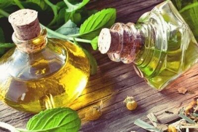 La vuelta a lo natural a través de las terapias orgánicas