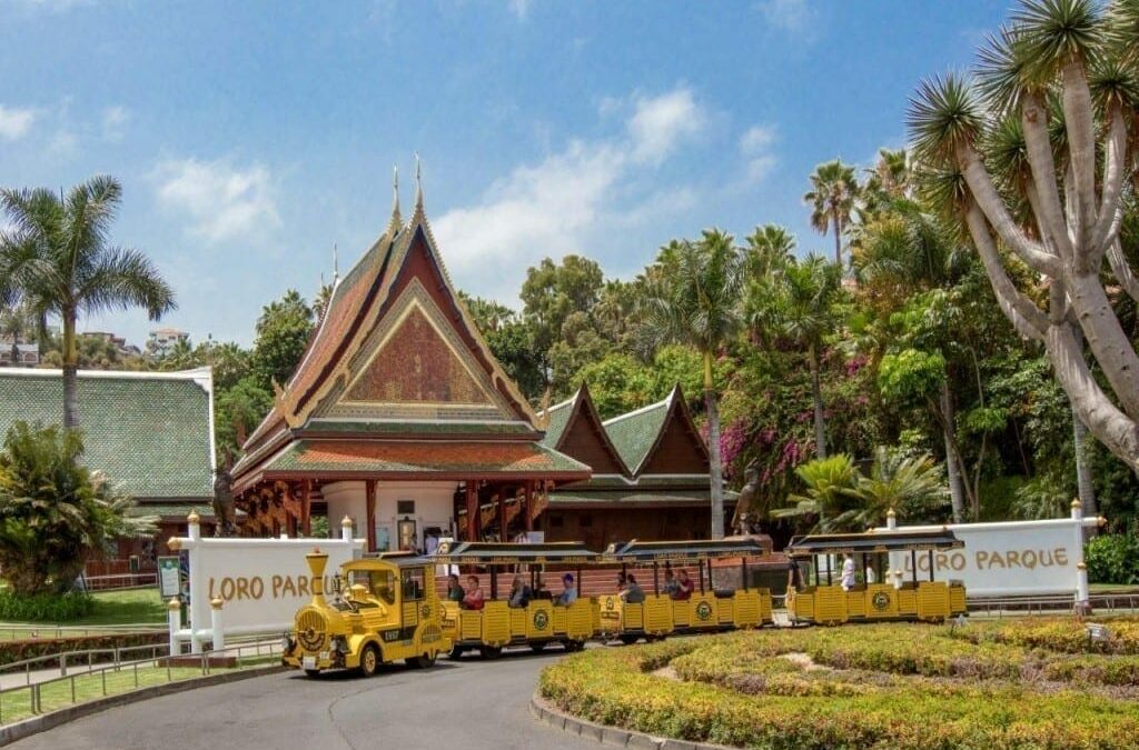 2017: un año de éxitos para Loro Parque