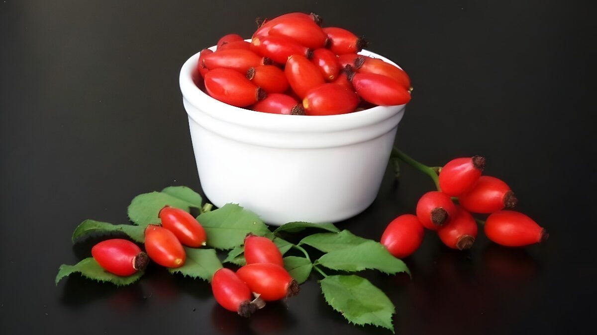 Los efectos positivos del té rojo en el ser humano, según Cafetearte
