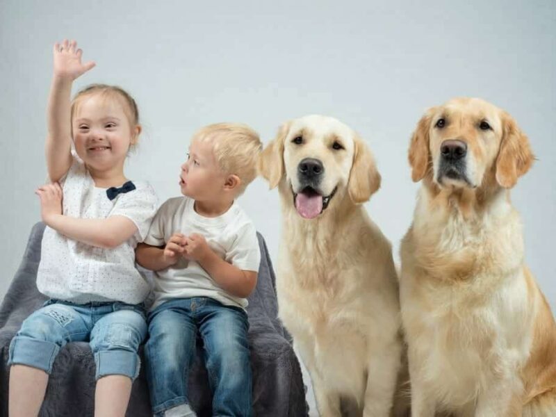 Zoetis contribuye a la futura inclusión social y laboral de niños con discapacidad