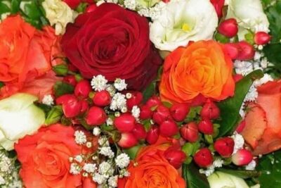 Flormoments recomienda la flor adecuada para cada ocasión