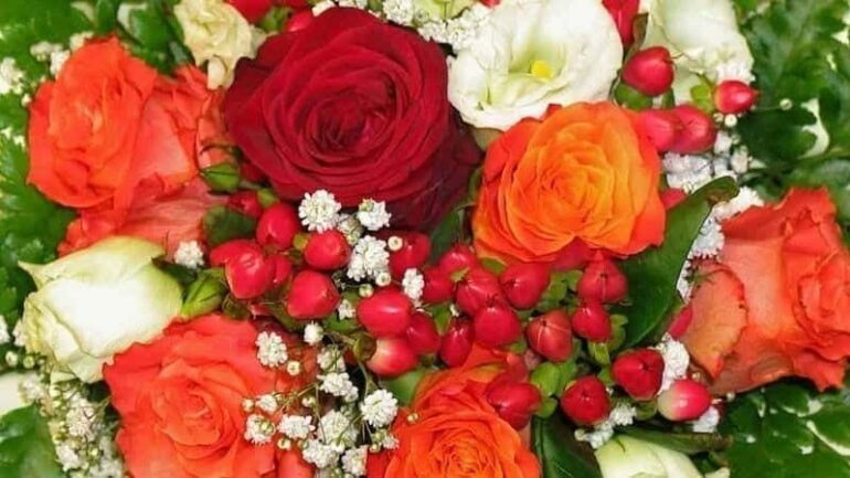 Flormoments recomienda la flor adecuada para cada ocasión