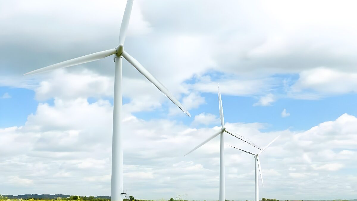 Schneider Electric, elegida por la Empresa de Electricidad de Madeira en el proyecto Porto Santo Sostenible