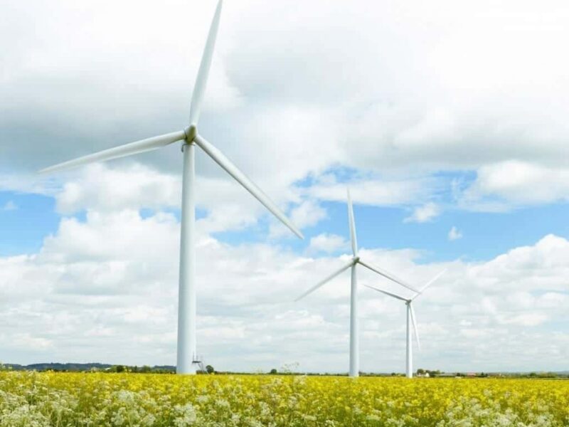 Schneider Electric, elegida por la Empresa de Electricidad de Madeira en el proyecto Porto Santo Sostenible