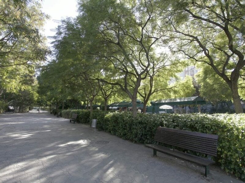 Los parques y jardines de València estrenan nueva web