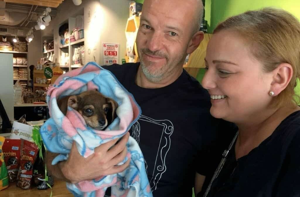 Alimenta2Vidas en la conmemoración del Día del Perro Callejero