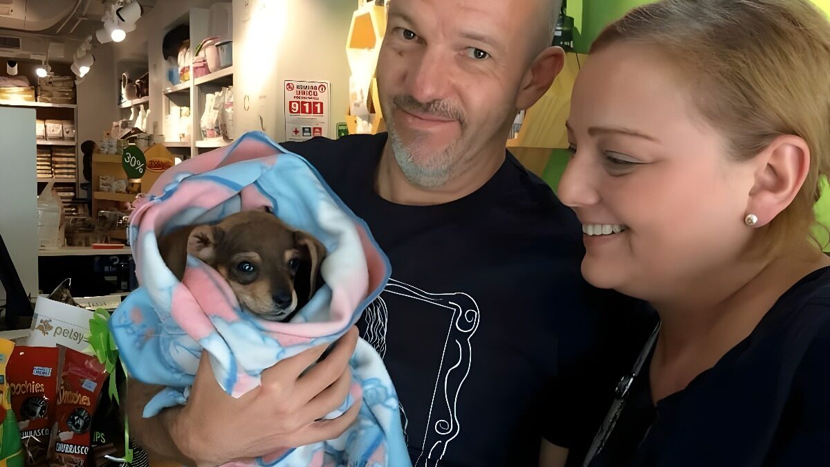 Alimenta2Vidas en la conmemoración del Día del Perro Callejero