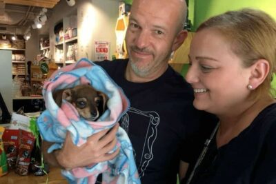 Alimenta2Vidas en la conmemoración del Día del Perro Callejero