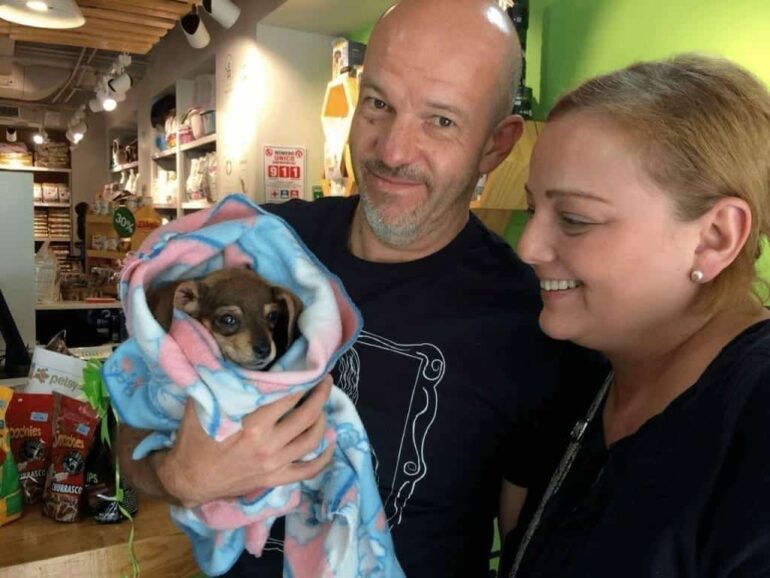 Alimenta2Vidas en la conmemoración del Día del Perro Callejero