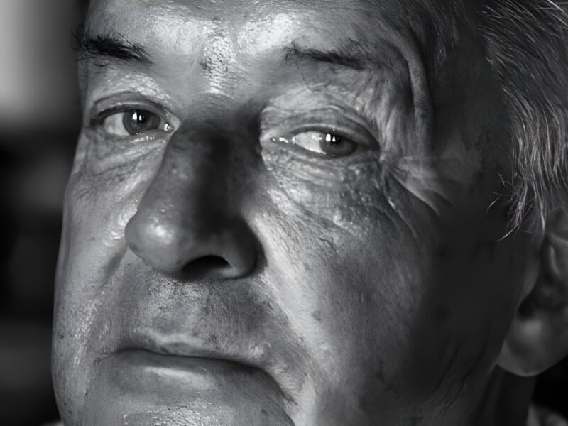 Vladimir Nabokov