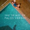 Poster for the movie "The Tribes of Palos Verdes"