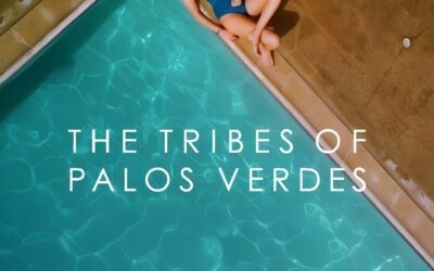 Crítica a The Tribes of Palos Verdes (2017)