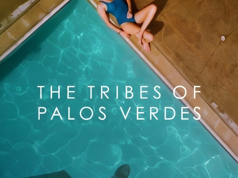 Crítica a The Tribes of Palos Verdes (2017)