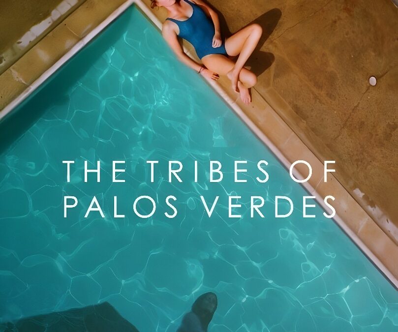 Crítica a The Tribes of Palos Verdes (2017)