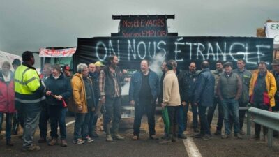 Imagen de la Película "Normandía al desnudo"