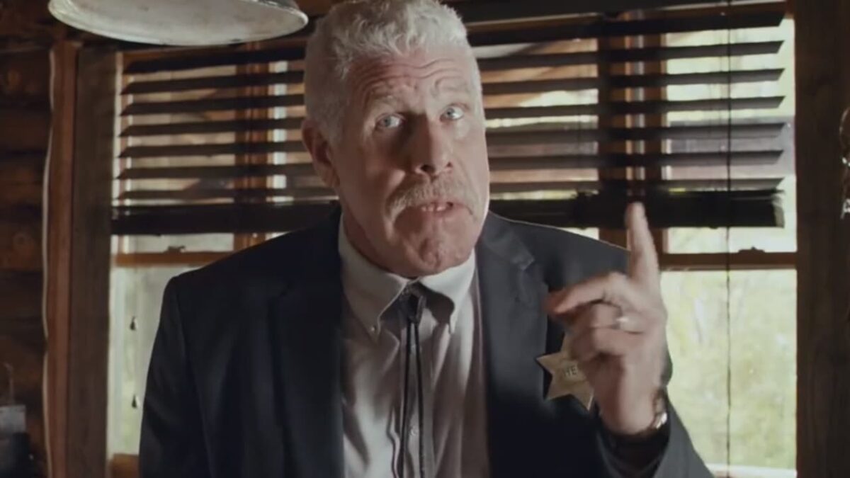 Comedia en la América profunda: The Escape of Prisoner 614. Crítica