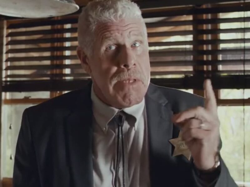 Comedia en la América profunda: The Escape of Prisoner 614. Crítica