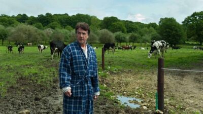 Imagen de la Película "Normandía al desnudo"