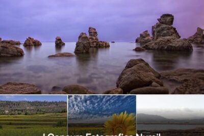 Concurso de Fotografías de Nuroil