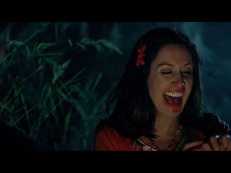 Victor Crowley (2017). Crítica