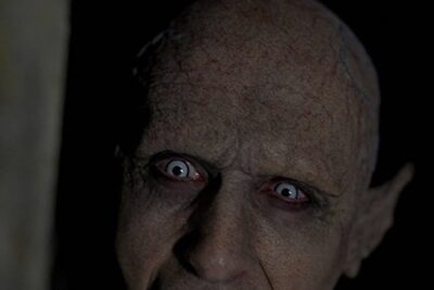 Lo que Hacemos en las Sombras (2014): divertidísima